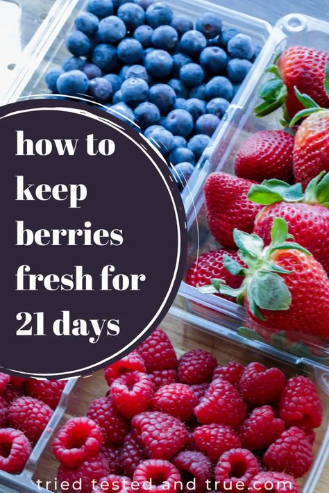 Berry Fruit Salad, Instant Pot Yogurt, Storing Fruit, Vegetable Prep, Berry Juice, Easy Summer Desserts, Fruit Storage, Life Hack, Mixed Berries