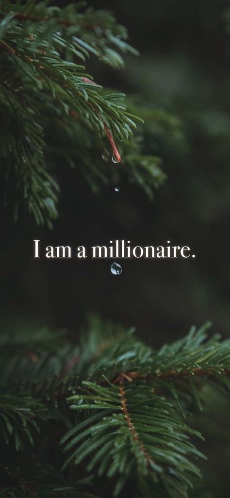 I’m A Millionaire Wallpaper, I Am A Millionaire Money Affirmations, 1 Million Dollars Wallpaper, 4 Million Dollars, I Am Millionaire Wallpaper, I Am Millionaire Affirmation, 30 Million Dollars, Morning Motivational Quotes Positive, 20 Million Dollars