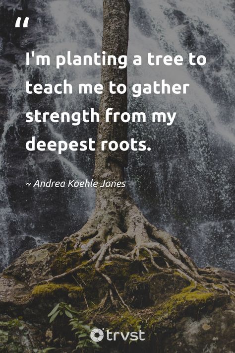 "Planting a tree to teach me to gather strength from my deepest roots."  - Andrea Koehle Jones  Discover the power within you, just like a tree plants its roots firmly into the Earth. Foster strength and resilience. #trvst #quotes #bethechange #planetearthfirst #treeplantingquotes #planting #roots #tree   📷 @_zachreiner_ Tree Quotes Nature, Tree Planting Quotes, Planting Quotes, Nature Quotes Trees, Nature Benefits, Planting A Tree, Tree Quotes, Plants Quotes, Planting Trees