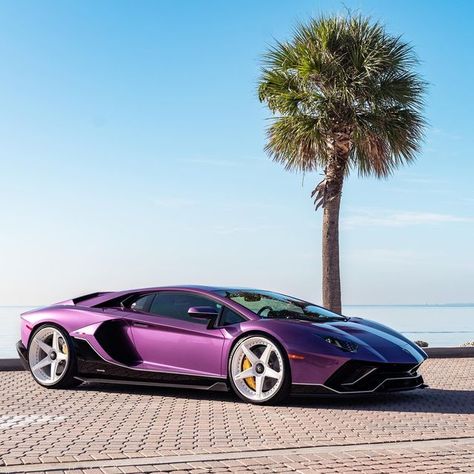 Lamborghini Aventador Ultimae, Aventador Ultimae, Lamborghini Concept, Purple Car, Vintage Boats, Lamborghini Cars, Lamborghini Countach, Exotic Sports Cars, Top Cars