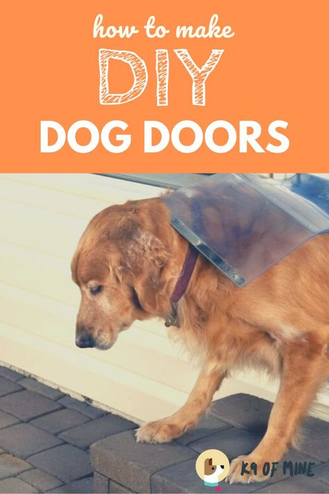 Diy Dog Door, Diy Doggie Door, Diy Dog Run, Pete The Cat Costume, Door Plans, Cat Costume Diy, Dog Doors, Dogs Diy Projects, Door Plan