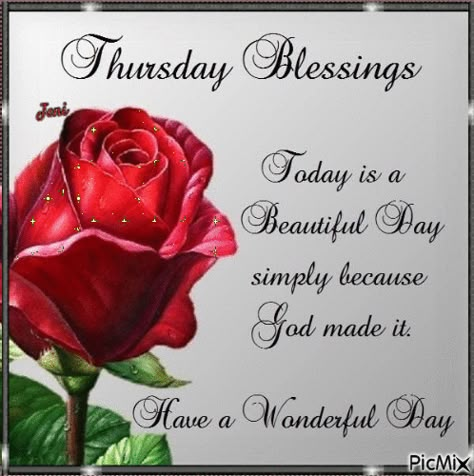 Thursday Blessings Gif, Good Morning Family Quotes, Blessings Gif, Valentines Day Quotes Friendship, Wonderful Day Quotes, Happy Thursday Morning, Good Morning Gift, Thursday Greetings, Thursday Blessings