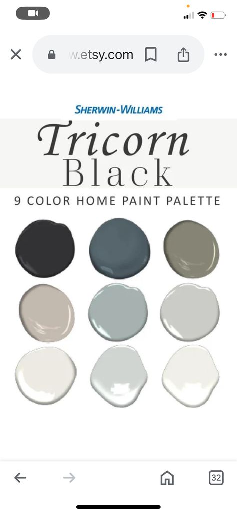 Magnolia Duke Gray, Magnolia Sir Drake Paint Color, Magnolia Paint Sir Drake, Rainy Days Paint Color Magnolia, Duke Grey Paint Magnolia, Cloudy Gray Magnolia Paint, Paint Palette, Sherwin Williams, House Painting