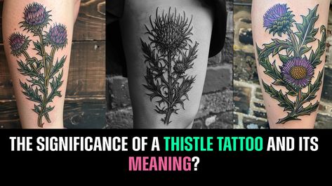 What is the significance of a thistle tattoo and its meaning? Tattoo And Its Meaning, Scottish Army, Thistle Plant, Thistle Tattoo, Thistle Design, Tattoo People, Unique Symbols, Botanical Tattoo, National Symbols