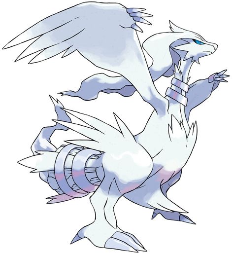 Reshiram Pokemon, Pokemon Wiki, Pokemon Bulbasaur, Pokémon Black And White, Pokemon Manga, Pokemon Oc, Black Pokemon, Pokemon Coloring, Pokemon Teams