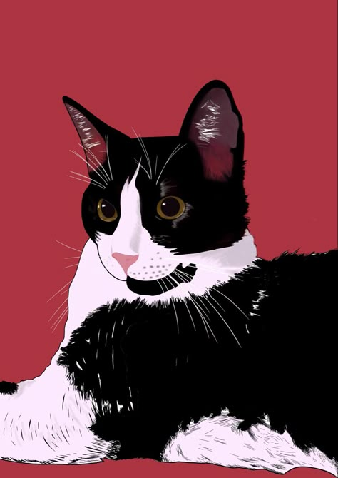 Tuxedo Cat Wallpaper, Black And White Cat Art, Mustache Wallpaper, Tuxedo Cat Art, Mustache Cat, Collage Photo Frame Design, Wpap Art, Cartoon Painting, Art Deco Posters