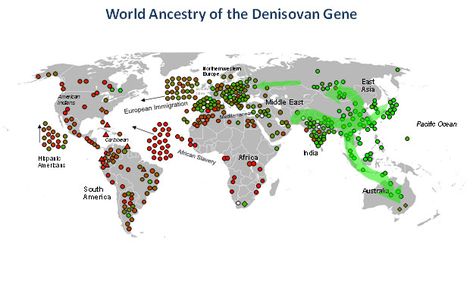 The Denisovan Gene African Ancestry, Egyptian Mummies, Black Knowledge, Valley Of The Kings, King Tut, North Africa, Native American Indians, Ancient History, Ancient Egyptian