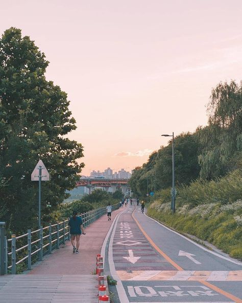 Korea City, South Korea, Seoul, The Road, Walking, Trees, Road, Photography, Travel