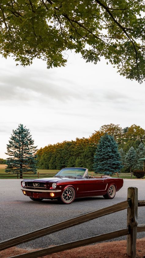 Ringbrothers Ford Mustang Convertible Uncaged 1965 Engine: 5.0L V8 Power: 343 kW / 466 hp Torque: 570 Nm / 420 lb-ft Old Ford Cars, Old School Mustang, Vintage Cars Aesthetic, 1980 Mustang, Old Mustang, 1965 Mustang Convertible, 1965 Ford Mustang Convertible, 1970 Mustang, V8 Cars