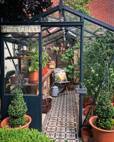 Fruit and vegetables I grow every year – Katy at the Manor Summer Greenhouse, Greenhouse Terrarium, Greenhouse Planting, Gardening Layout, Beautiful Greenhouse, Narrow Garden, Outdoor Greenhouse, Greenhouse Interiors, Backyard Greenhouse