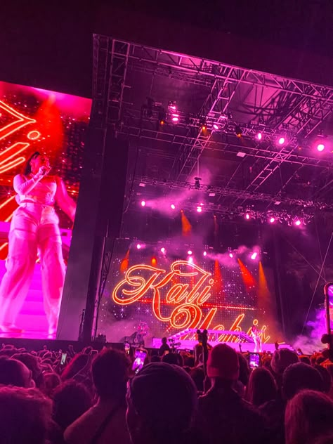 Kali Uchis, outside lands, San Francisco music festival, kali uchis outside lands, san francisco To Feel Alive Kali Uchis, Concert Kali Uchis, Moonlight By Kali Uchis, Kali Uchis Concert, Moonlight Song Kali Uchis, Kali Uchis Vinyl, Mother Kali, Outside Lands, Board Aesthetic