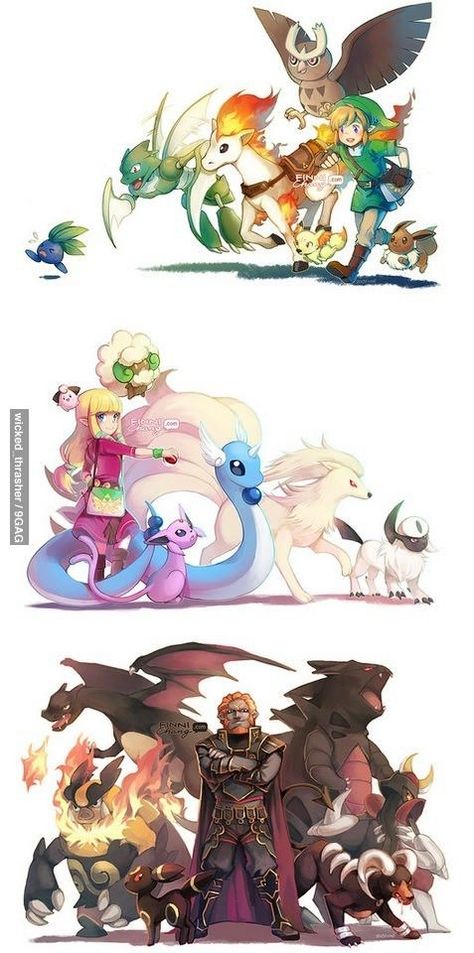 Legend Of Zelda Characters, Pokemon Crossover, Pokemon Trainers, Oc Pokemon, Pokemon Memes, Pokemon Funny, Zelda Art, Pokemon Teams, All Pokemon