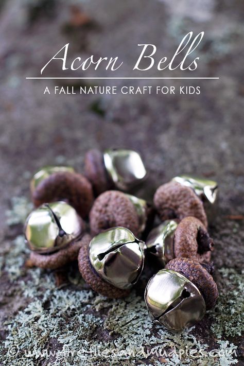 Acorn Bells: A Fall Nature Craft for Kids by firefliesandmudpies #Kids #Crafts #Acorn_Bells Mud Pies, Acorn Crafts, Nature Craft, Fall Nature, Dollar Store Hacks, Autumn Crafts, Autumn Nature, Craft For Kids, Nature Crafts