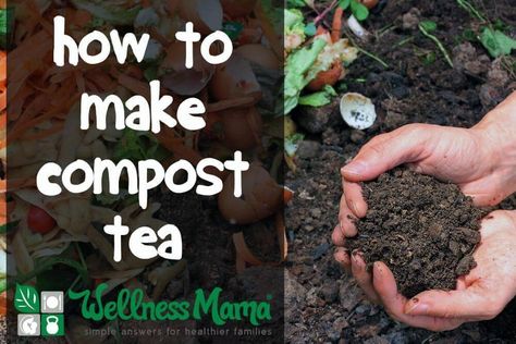 How to Make Compost Tea Compost Tea Brewer Diy, Compost Tea Recipe, Compost Tea Brewer, Make Compost, Organic Insecticide, How To Make Compost, Organic Pesticide, Tea Brewer, Benefits Of Gardening