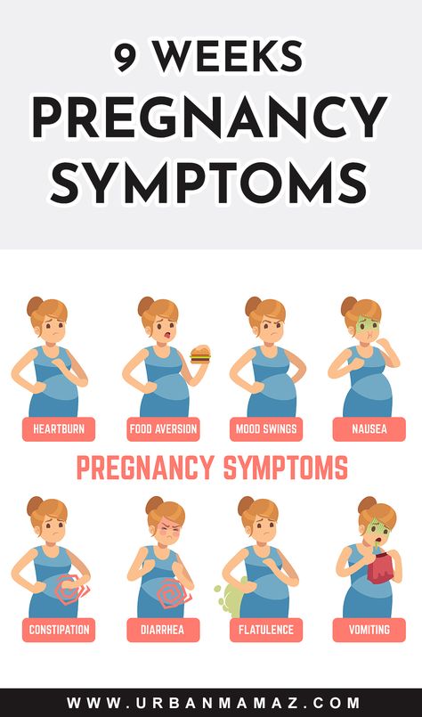 By the time you are 9 weeks pregnant, it means you are already in the third month of pregnancy. At this stage, it is expected that your baby’s brain would have almost completed its development. And very important is the fact that your baby is no longer an embryo but has fully become a fetus now. Here is all you need to know about 9 weeks pregnancy symptoms! Stages Of Pregnancy Weekly, 9 Weeks Pregnant Symptoms, 10 Weeks Pregnant Symptoms, 9 Weeks Pregnant Belly, 8 Weeks Pregnant, Symptoms Of Pregnancy, Week By Week Pregnancy, Third Month Of Pregnancy, First Week Of Pregnancy