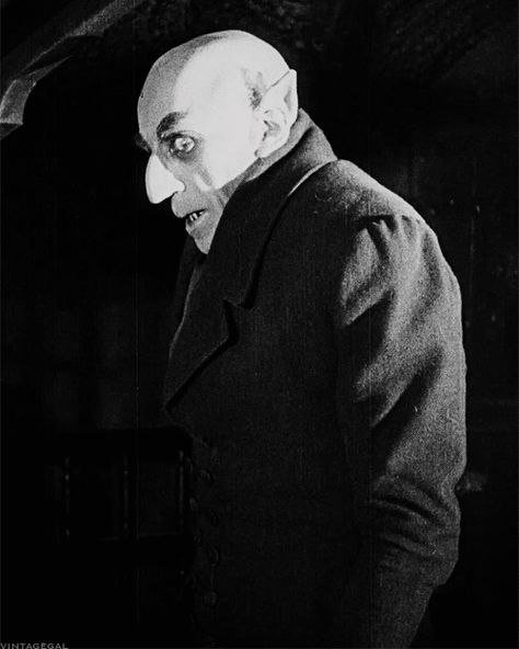 Nosferatu 1922, Max Schreck, Vampire Photo, Classic Monster Movies, Arte Peculiar, Vampire Movies, Vampires And Werewolves, Famous Monsters, Horror Monsters