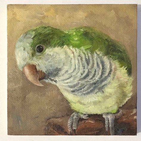 Hare Watercolour, Quaker Parrot, Bird Oil Painting, Monk Parakeet, 25 May, Paint Night, Bird Painting, Watercolor Brushes, Painting Gift