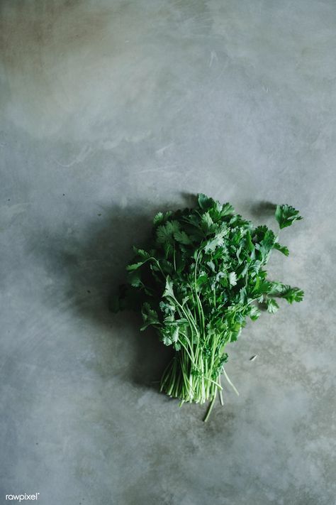 Concrete Table, Parsley, Free Photo, Free Image, Cilantro, Free Images, Food Photography, Herbs, Plants