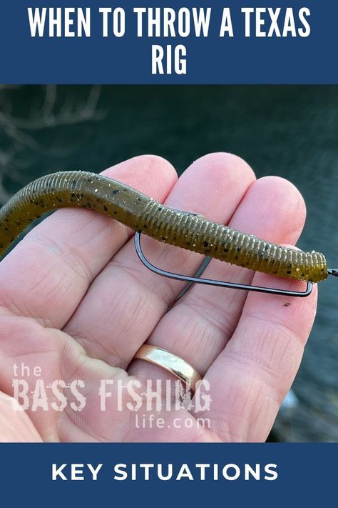 There is probably no better bass fishing setup than a Texas rig. These are key situations where this presentation will shine. #bassfishing #fishing #largemouthbass #bassfishingtips Best Bait For Bass Fishing, Bass Rigs Setup, Texas Rig Fishing, Texas Rig Bass Fishing, Catfish Rig Setup, Best Bass Fishing Lures, Catfish Rigs, Kayak Fishing Diy, Largemouth Bass Fishing