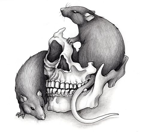 Human Skull Anatomy, Rat Skull, Rat Silhouette, Rat Tattoo, Skull Anatomy, Scary Drawings, Mouse Tattoos, Micron Pen, Cartoon Character Tattoos