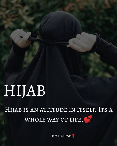 Women In Islam Quotes, Hijab Quotes, Bridal Songs, Appreciate Life Quotes, Quran Book, Muslim Pictures, Best Islamic Quotes, Beautiful Status, Girly Songs