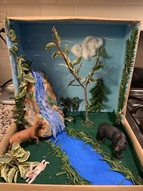 Sloth Habitat, Deciduous Forest Biome, Fox Habitat, Monkey Habitat, Temperate Deciduous Forest, Owl Habitat, Ocean Diorama, Panda Habitat, Rainforest Project