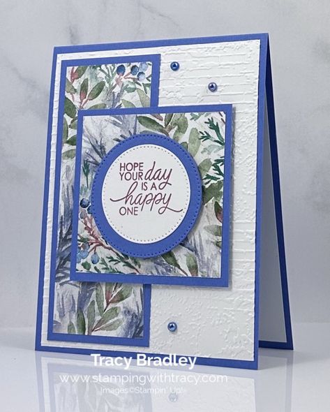 Stampin Up Winter Meadows Dsp, Stampin Up Blue Cards, Stampinup Winter Meadow, Stampin Up Artisan Design Team 2024, Su Winter Meadow, Stampin Up So Sincere, Stampin Up Winter Birthday Cards, Stampin Up Winter Meadow Dsp Cards, Winter Meadow Dsp