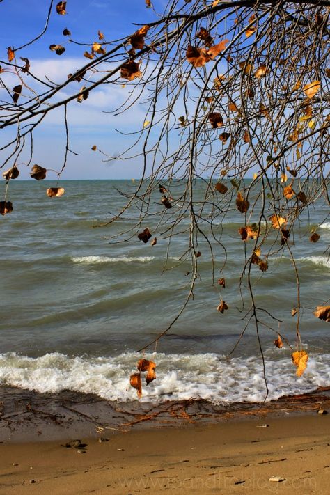 A trip to Lake Huron, Ontario in the fall. Lake Huron Ontario, Fall Lake, Autumn Lake, Lake Huron, In The Fall, The Fall, Ontario, Lake, Silver