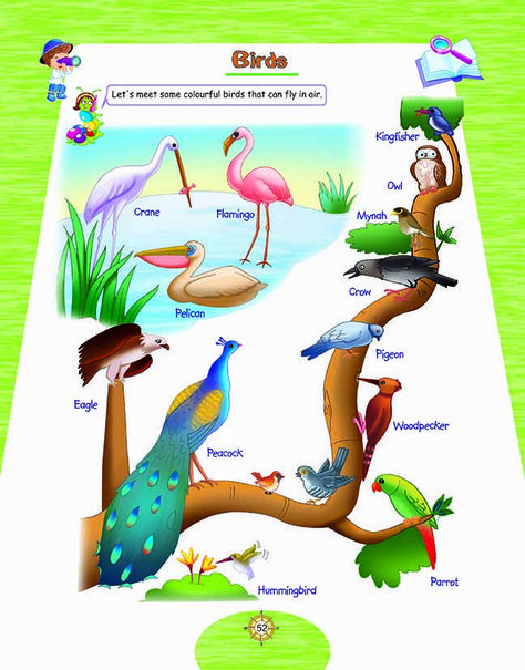 Birds Chart For Preschool, Birds Name List, Pollution Poster, Birds Name, Air Pollution Poster, Flower Crafts Kids, Kids Worksheets, Abc Songs, Kids Worksheets Preschool