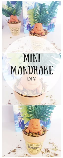 DIY Mini Potted Mandrake, Harry Potter Tutorial | Worthington Ave Harry Potter Tutorial, Mandrake Harry Potter, Harry Potter Diy Crafts, Harry Potter Weihnachten, Harry Potter Classes, Harry Potter Activities, Harry Potter Day, Classe Harry Potter, Imprimibles Harry Potter