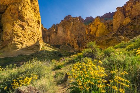 Timber Gulch Oregon, Timber Gulch, Pictures Of Water, Things To Do Bucket List, Deer Tracks, Water Pictures, Creek Bed, Living On The Road, Dry Creek