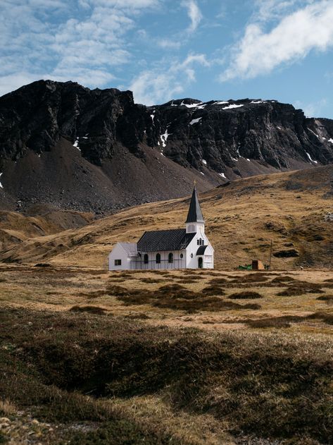 Source of mysterious global tsunami found near Antarctica South Georgia Island, Subduction Zone, Seismic Wave, Tsunami Waves, Penguin Species, Strange Events, Under The Ocean, South Georgia, South American