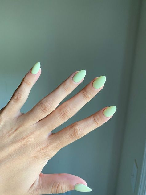 Short key lime green almond nails Soft Lime Green Nails, Matte Lime Green Nails, Key Lime Green Nails, Light Neon Green Nails, Key Lime Nails, Light Lime Green Nails, Neon Lime Green Nails, Lime Green Almond Nails, Light Green Almond Nails