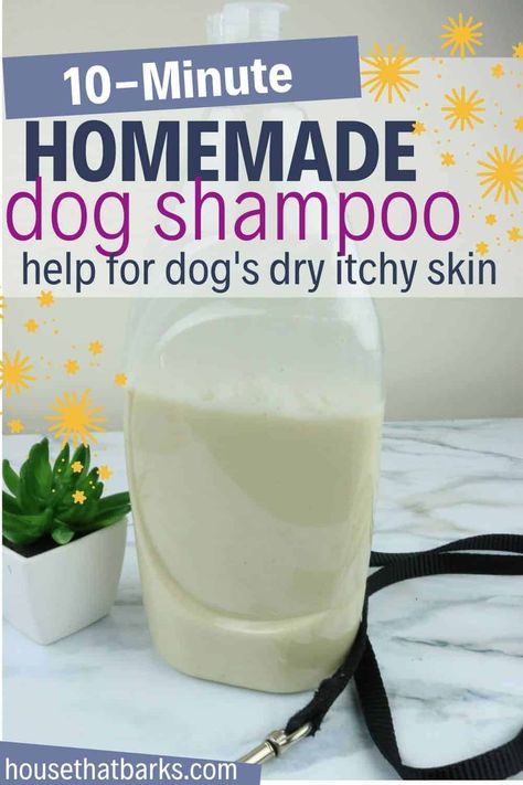 Help for your dog's dry itchy skin with this easy to make 10 minute homemade oatmeal dog shampoo. Dog Shampoo Recipe, Diy Dog Shampoo, Homemade Dog Shampoo, Natural Dog Shampoo, Itchy Dog, Oatmeal Dog Shampoo, Dog Soap, Shampoo Recipe, Dog Remedies