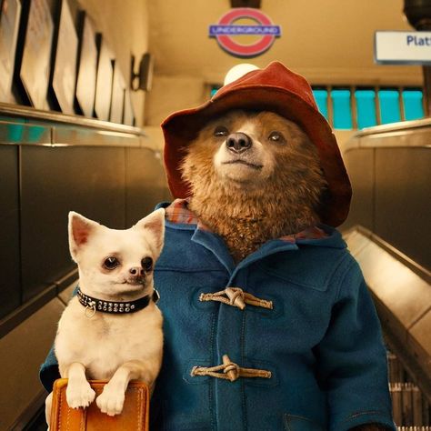 Classic Family Movies, Netflix Movies For Kids, Oso Paddington, Monsoon Wedding, Andrew Mccarthy, Montgomery Clift, Julia Louis Dreyfus, Paddington Bear, Kids' Movies