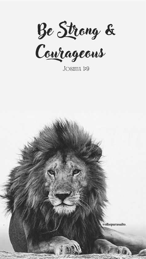 Lion Bible Verse Tattoo, Gods Fingerprints, Joshua 1 9 Wallpaper, Lion Bible Verse, Deep Christian Quotes, Strength Bible Quotes, Jesus Reigns, Lion Of Judah Jesus, Bible Verse Tattoos