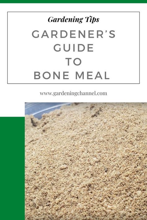 ground bone meal with text overlay gardening tips gardener's guide to bone meal Bone Meal For Plants, Produce Garden, Gardening Guide, Plant Benefits, Growing Your Own Food, Gardening 101, Garden Recipes, Organic Fertilizer, Grow Your Own Food