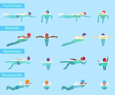 Swimming swimmer sportsman swims in swi... | Premium Vector #Freepik #vector #water #sport #butterfly #stroke Swimming Infographic, Different Swimming Strokes, Underwater Illustration, Learn Swimming, References Drawing, Swimming For Beginners, Thailand Activities, Swimming Motivation, Swimming Benefits