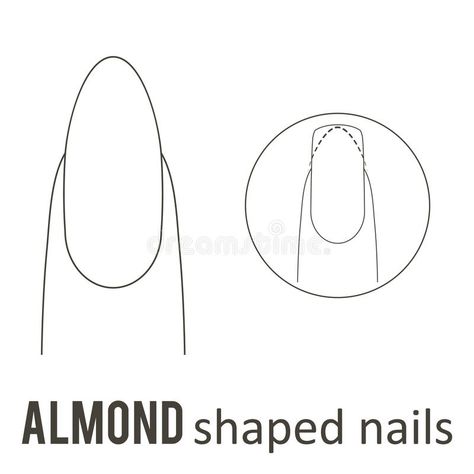 Nail shape almond stock illustration Nails Shapes Tutorial, Nail Shape Almond Short, How To Do An Almond Shape Nail, How To Almond Shape Your Nails, How To Get Almond Nails, Almond Nails Shape Tutorials, Almond Shape Tutorial, How To Create Almond Shape Nails, How To Do Almond Nails Shape