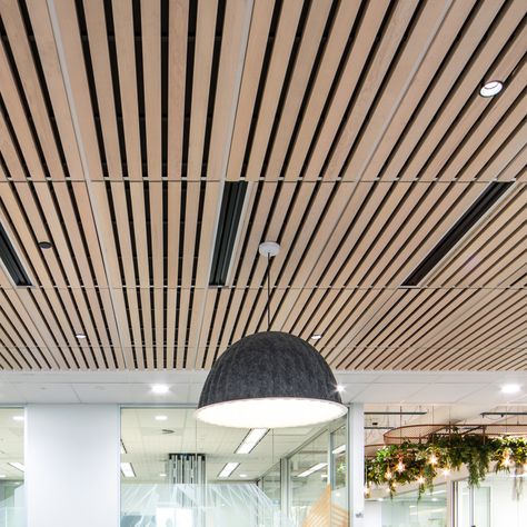 Slat Ceiling, Acoustic Tiles, Suspended Ceiling Tiles, Wood Slat Ceiling, Wood Aesthetic, Acoustic Ceiling Tiles, Drop Ceiling Tiles, Timber Ceiling, Drop Ceiling