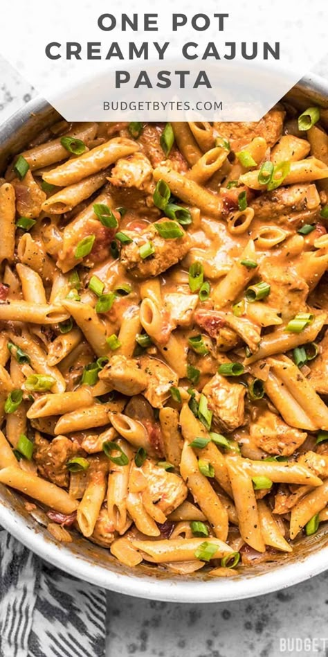 Chicken Pasta Creamy, Creamy Cajun Chicken Pasta, Creamy Cajun Pasta, Mongolian Chicken, Creamy Cajun Chicken, Cajun Chicken Pasta Recipes, Beef Tartare, Pasta Creamy, Cheap Family Meals