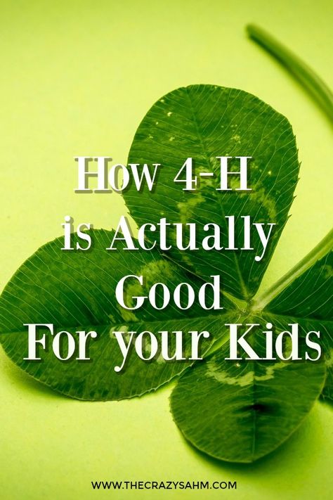 WHY 4-H IS ACTUALLY GOOD FOR YOUR KIDS 4 H Clover, 4h Projects, 4h Ideas, 4 H Club, Farm Kids, Kids Outdoor Play, Kid Friendly Activities, Country Kids, Club Ideas