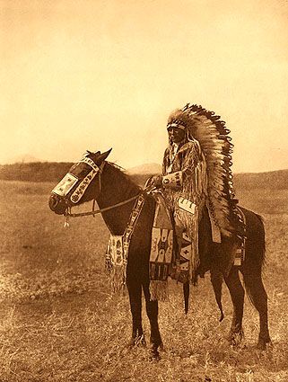 American Indian Native American Horses, American Indian History, Native American Images, Native American Chief, Native American Men, American Photo, Native American Pictures, Wilde Westen, Native American Photos