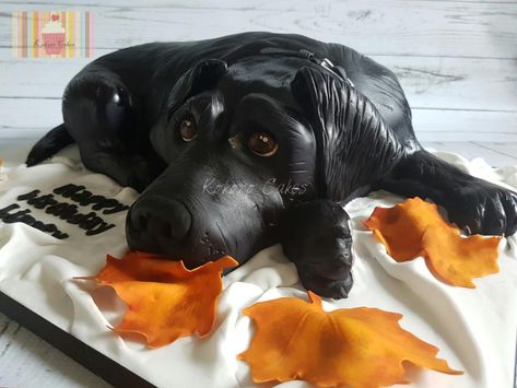 Black Labrador  - Cake by Kokoro Cakes by Kyoko Grussu Labrador Cake, Vet Cake, Groomsmen Cake, Skateboard Cake, Groomsman Cake, Dogs Cake, Tulip Cake, 15th Birthday Cakes, 18th Cake