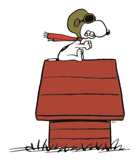 Snoopy Icons, Red Baron Snoopy, Peanuts Art, Snoopy Flying, Diy Care Package, Snoopy Drawing, Ace Tattoo, Snoopy Tattoo, Good Morning Snoopy