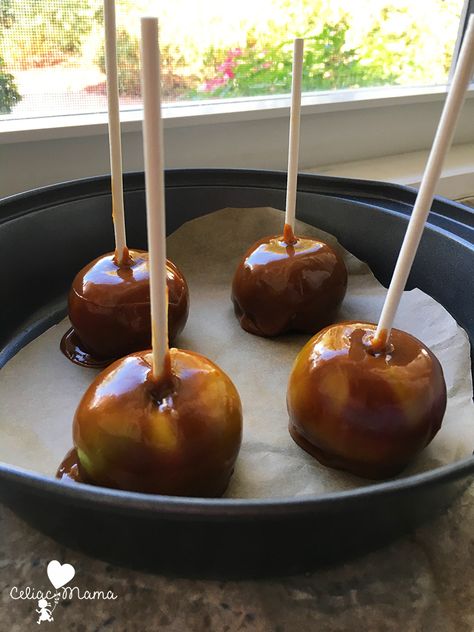 Gluten Free Caramel Apples Recipe Gluten Free Caramel Apples, Gluten Free Caramel, Christmas Casserole, Halloween Ice Cream, Mini Caramel Apples, Caramel Apples Recipe, Golden Delicious Apple, Coconut Palm Sugar, Homemade Candy