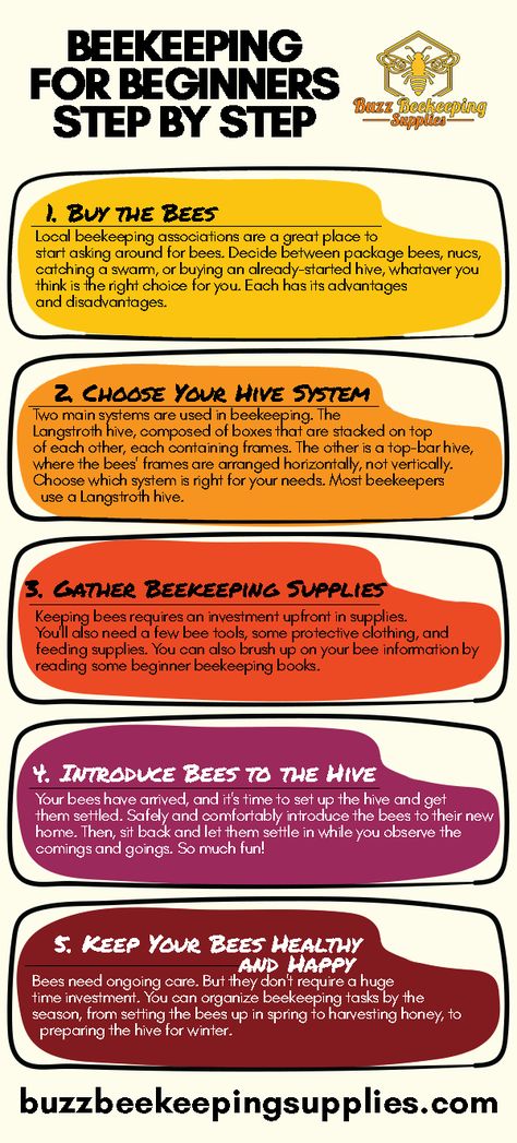 Beekeeping for Beginners Step By Step How To Start A Bee Hive Beekeeping For Beginners, Bee Keeping For Beginners Backyards, Homesteading For Beginners Step By Step, Raising Bees For Beginners, Bee Keeping For Beginners, Beekeeping Business, Beginner Beekeeping, Apiary Beekeeping, How To Start Beekeeping