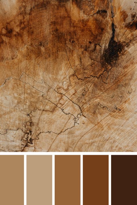 This image showcases the intricate textures of a brown and black wooden surface. The natural wood grain and contrasting dark tones create a rustic yet refined aesthetic, highlighting the beauty of organic materials and craftsmanship. Ideal for evoking warmth and sophistication in design. Nature Palette Earth Tones, Brown Aesthetic Palette, Brown Contrast Colour, Natural Wood Color Palette, Wooden Color Palette, Wood Colour Palette, Brown Mood Board, Wood Color Palette, Camel Color Palette