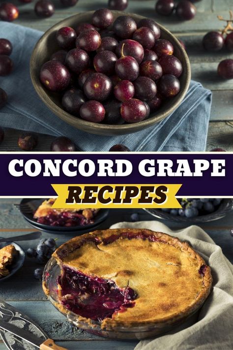 These Concord grape recipes are sure to be a hit! From cakes to chicken to muffins, there are plenty of great ways to use these grapes. Concord Grape Juice Recipe, Roasted Grape Recipes, Grape Dessert Recipes, Concord Grape Recipes, Grape Jam Recipe, Grape Juice Recipe, Best Turkey Recipe, Grape Pie, Concord Grapes