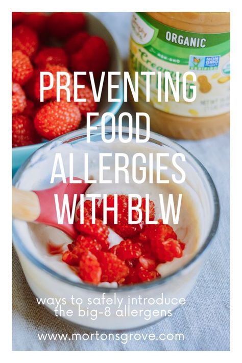 When I work with families getting ready to start solids, there are a few things I can hardly wait to cover: introducing allergens is one of those areas. There is something so empowering about having the ability to potentially prevent food allergies by introducing those foods early. There is also som Food Schedule, Flaked Salmon, Kid Meals, Chocolate Donut, Baby Cereal, Lactation Recipes, Baby Finger Foods, Homemade Baby Foods, Baby Weaning